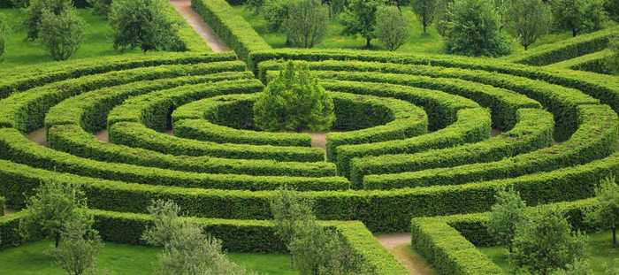 Large green maze made of hedges