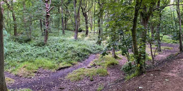 Bramley Fall Woods Trail